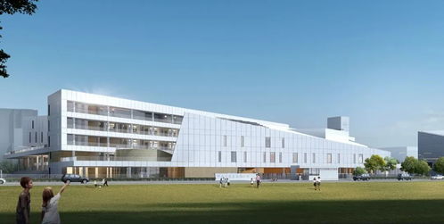 金中江心洲分校新技術開發項目啟動，智慧校園建設再提速